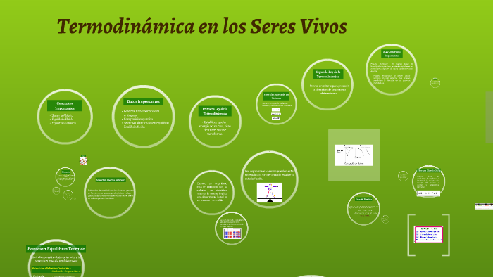 Termodinámica En Los Seres Vivos By Joselyn Morera Chacón On Prezi