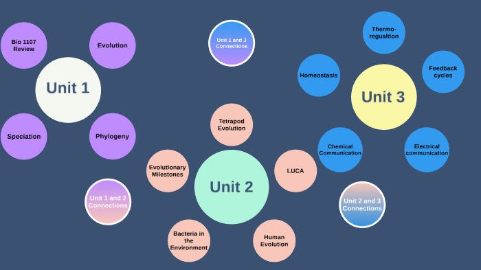 Bio 1108 Concept Map by Rachel Lippincott on Prezi