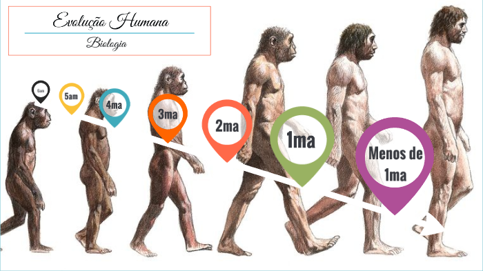 Biologia Evolucao Humana By Bruna Goncalves
