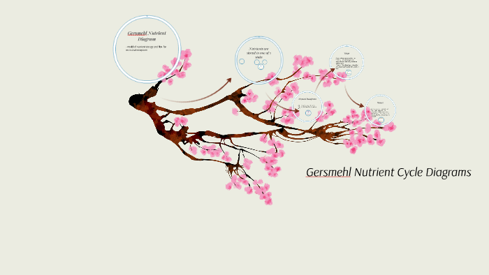 gersmehl-nutrient-cycle-diagrams-by-garrick-ng-on-prezi