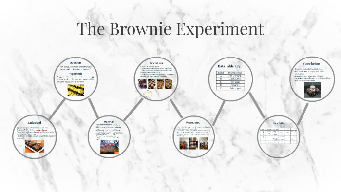 The Brownie Experiment By Jennifer Hays On Prezi