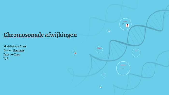 Chromosomale afwijkingen by tess van toor on Prezi