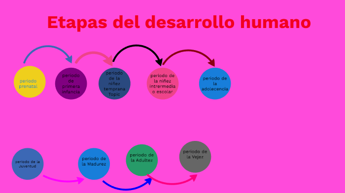 etapas del desarrollo humano by kelly maribel serrano seclen on Prezi