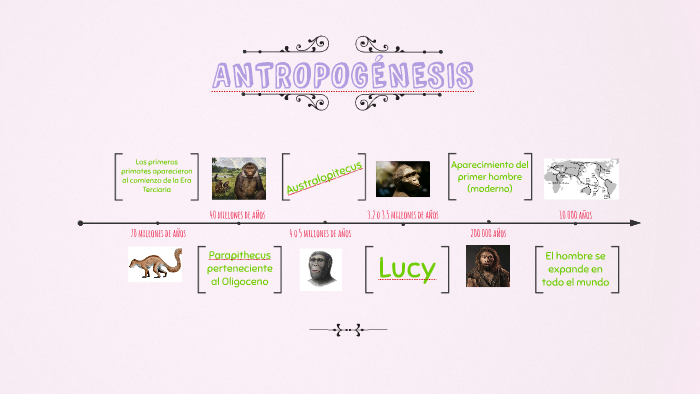 Antropogénesis by Dany Bermeo on Prezi