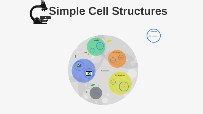 Plant and Animal Cells by Emily Lacy on Prezi