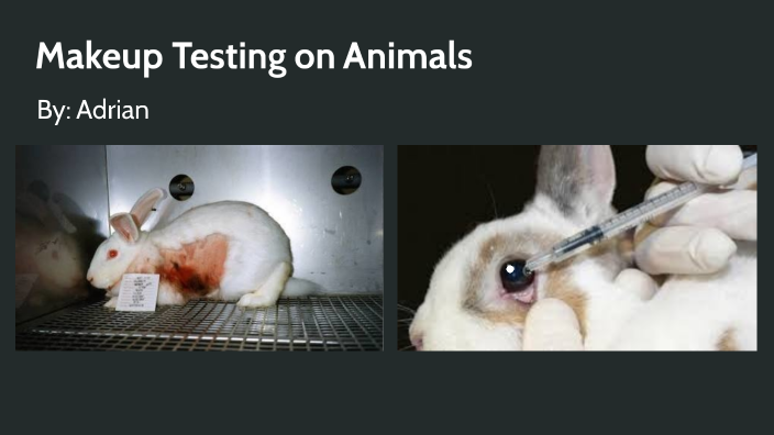 Makeup Testing on Animals by adrian habgood