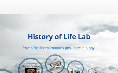 history of life lab by chey johnston on Prezi