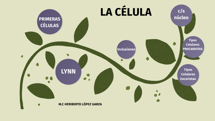 la celula by HERIBERTO lopez garza on Prezi