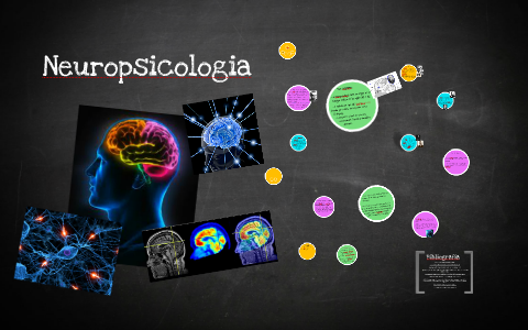 Neuropsicologia by Cata Gamboa on Prezi