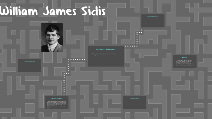 William James Sidis - Geniuses