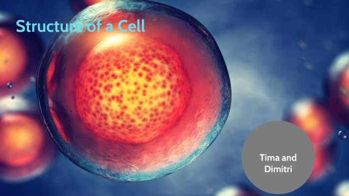 Structure of a Cell by Tima L on Prezi