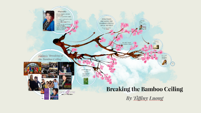 Breaking The Bamboo Ceiling By Yvonne Luong On Prezi