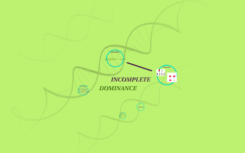 Incomplete Dominance by Sarah Way on Prezi