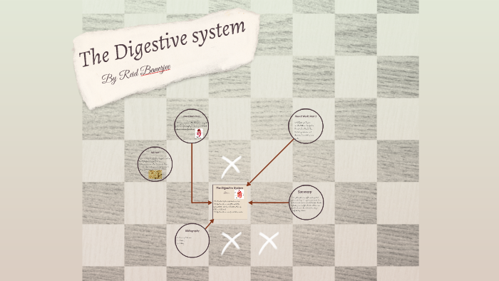 The Digestive system by R B on Prezi