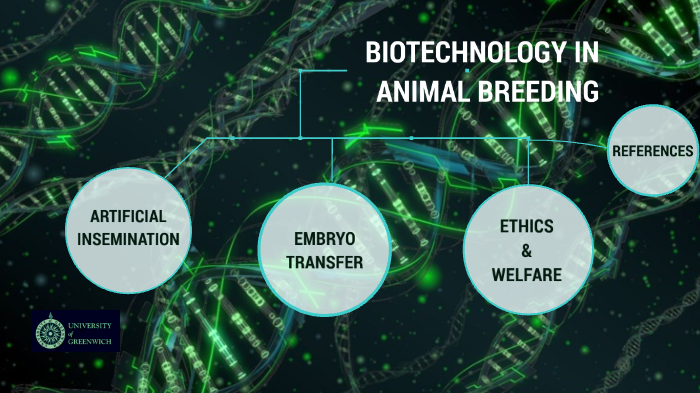 BIOTECHNOLOGY IN ANIMAL BREEDING by V W