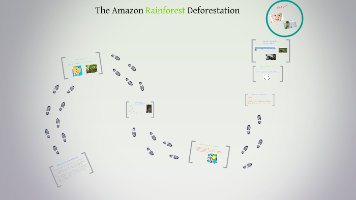 The Amazon Rainforest Deforestation by jessica kalongoshi on Prezi