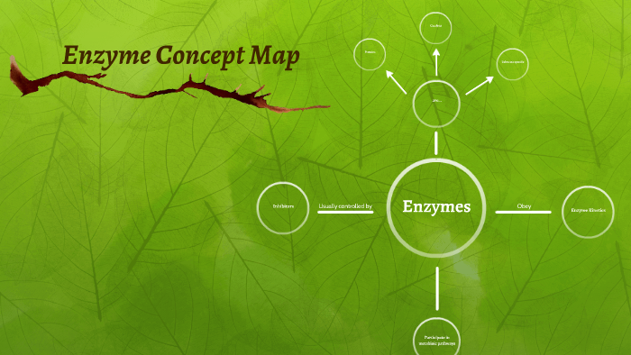 Enzyme Concept Map by Justin Williams on Prezi