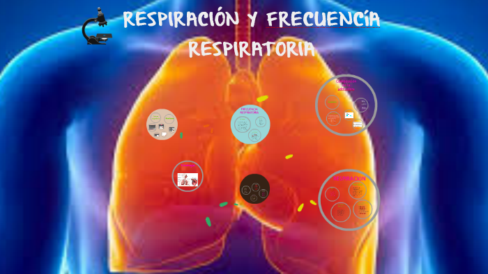 Respiración y frecuencia respiratoria by James Giraldo on Prezi