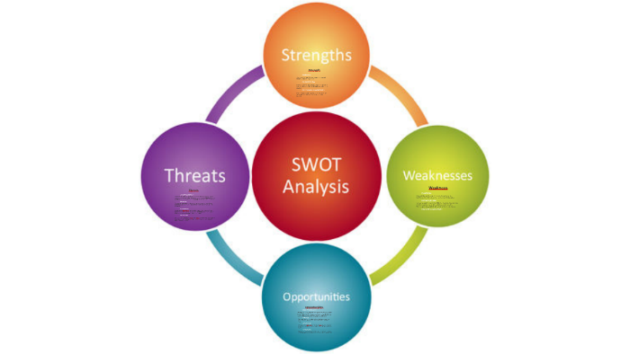 Swot Analyse By Lutske Wiersma