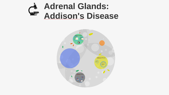 Adrenal Glands Addison S Disease By