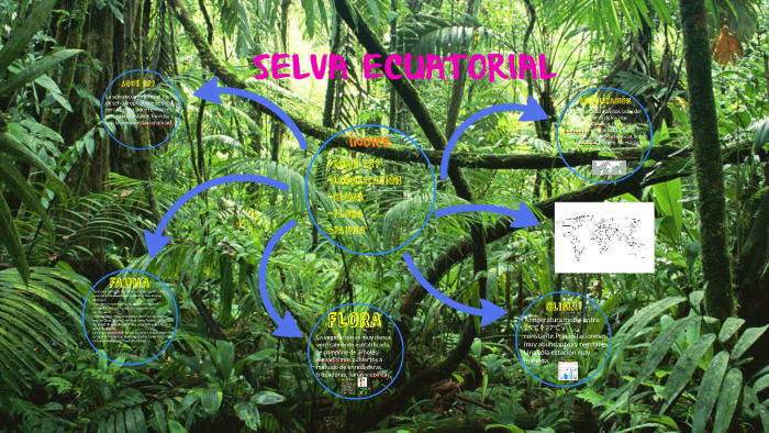 vegetación de la selva tropical ecuatorial