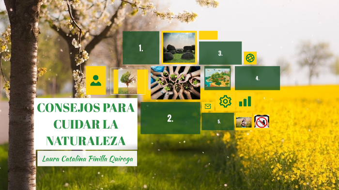 Recomendaciones Para Cuidar La Fauna Y La Flora By Laura Pinilla On Prezi 4194