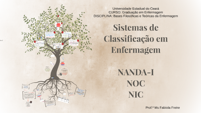 Sistemas De Classificação Em Enfermagem (NANDA-I, NOC E NIC) By Fabiola ...