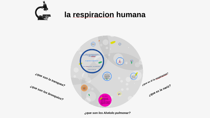 La Respiracion Humana By Showny Griman