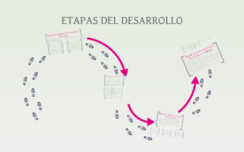 ETAPAS DEL DESARROLLO by ana karen flores