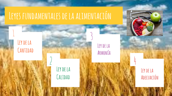 Leyes Fundamentales De La Alimentación By Yamila Marin Ratto On Prezi