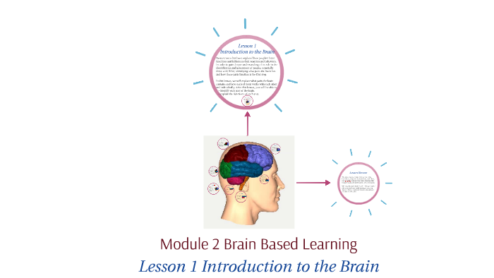 Module 2: Lesson 1 Introduction to the Brain by Dongli Zhang on Prezi