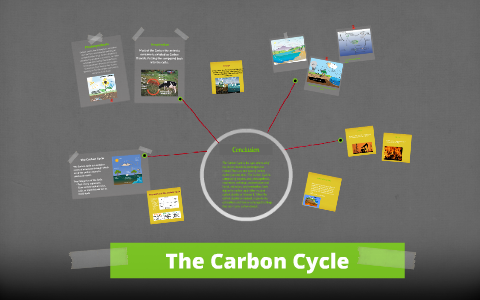 The Carbon Cycle by Jacqueline Carter on Prezi