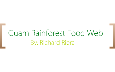 Guam Rainforest Food Web By Richard Riera On Prezi