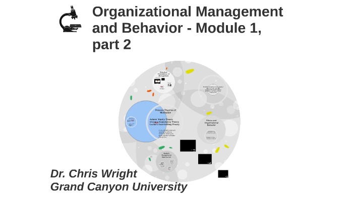 Organizational Management and Behavior - Module 1, part 2 by Chris ...