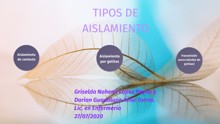 Tipos de aislamiento by Griselda López Reyna on Prezi Next