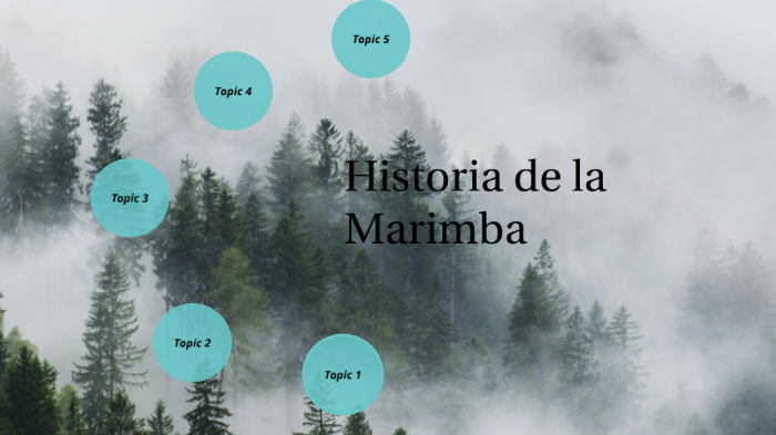 La Historia De La Marimba By Ana Hernández