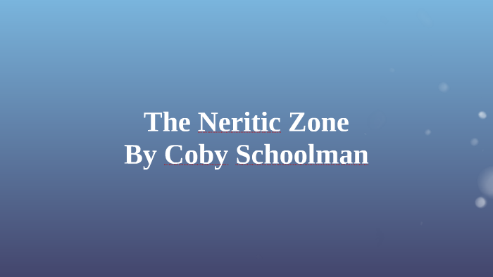 the-neritic-zone-by-coby-schoolman