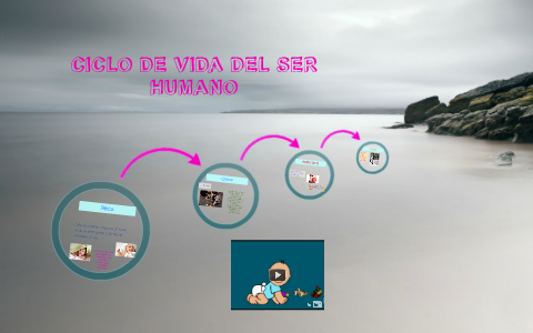 Ciclo De Vida Del Ser Humano By Susana Narvaez On Prezi Ciclo De Vida Del Ser Humano By Susana Narvaez On Prezi