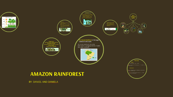 The amazon rainforest by Daniela Rodriguez on Prezi