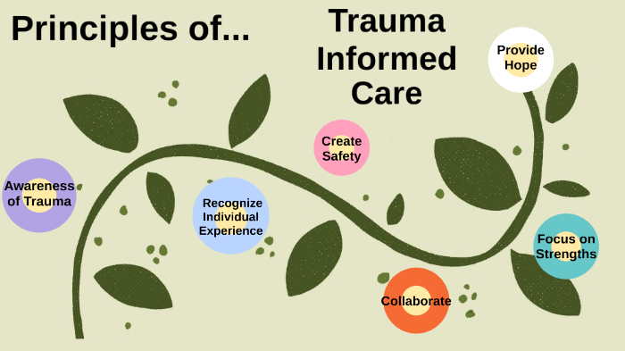 Trauma Informed Care by Kathy Kruisselbrink on Prezi