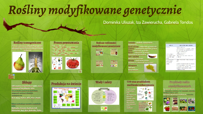 Rośliny modyfikowane genetycznie by Iza Zawierucha on Prezi