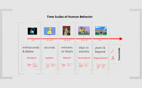 Timescale Scale Up/Down - Algebra and Teacher Gesture by Mitchell ...