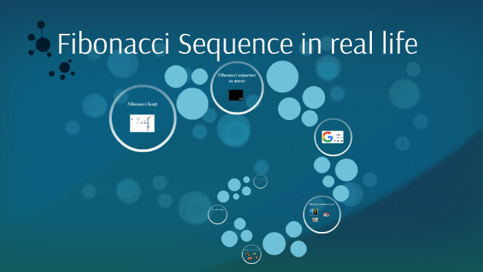 Fibonacci Sequence in real life by Amelie Quincampoix on Prezi
