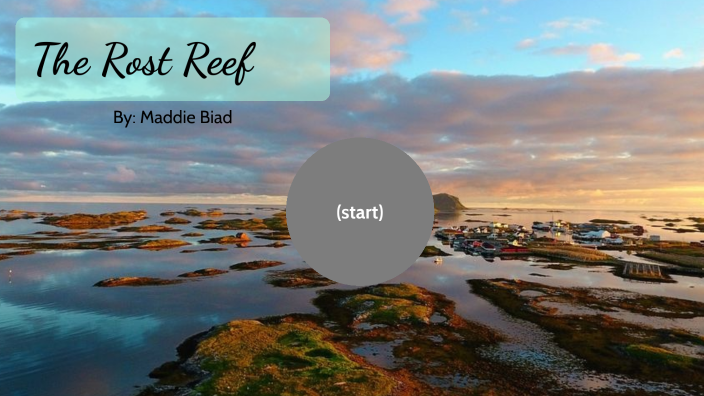 Coral Reef Research Project by Maddie Biad on Prezi