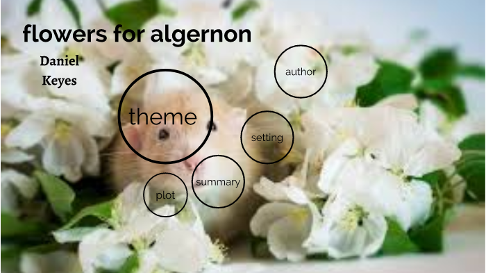Flowers For Algernon By Iliana Garcia