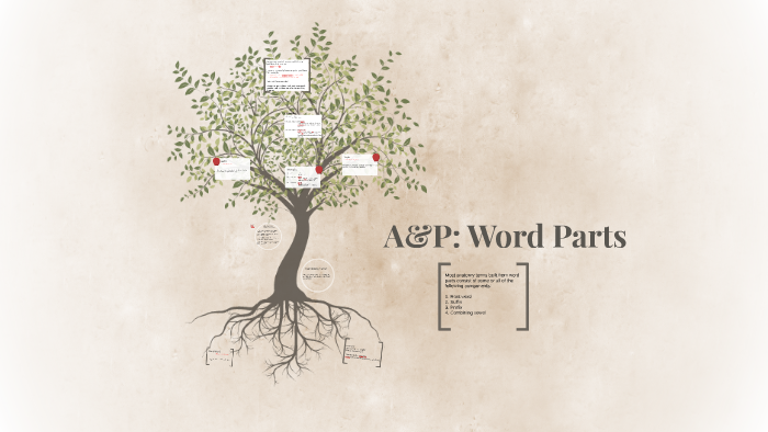 A&P: Word Parts by Kathryn Wood on Prezi