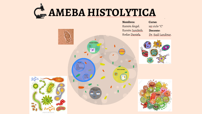 AMEBA HISTOLYTICA by Ruth Jaramillo on Prezi