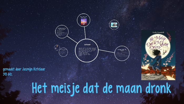 Het meisje dat de maan dronk by Robbin Loman