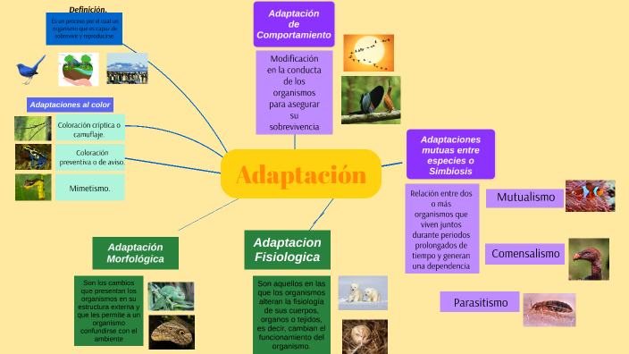 Selección Natural Y Adaptación By Luis Zuñiga