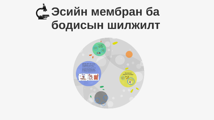 Эсийн мембран ба бодисын шилжилт by Battogtokh Boldbaatar on Prezi